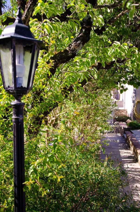 La Petite Pierrette Daire Saint-Benoit-de-Carmaux Dış mekan fotoğraf